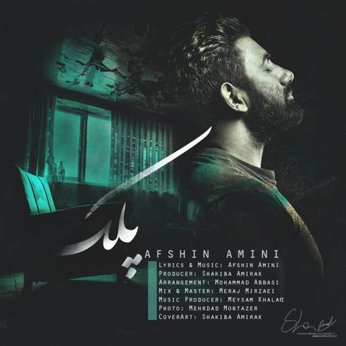 افشین امینی پلک